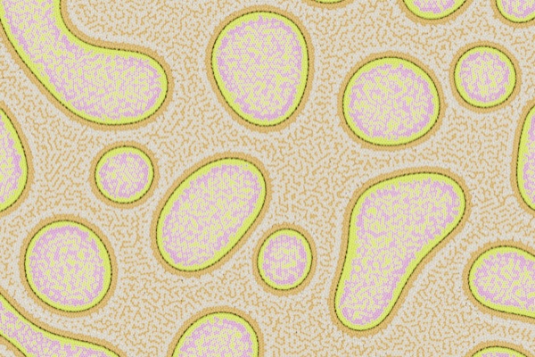 Particle Life: pink and yellow-green cell-like blobs self-organizing from colored particles.
